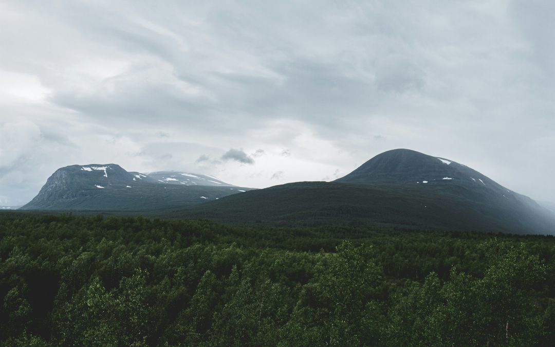 Sveriges 10 högsta berg
