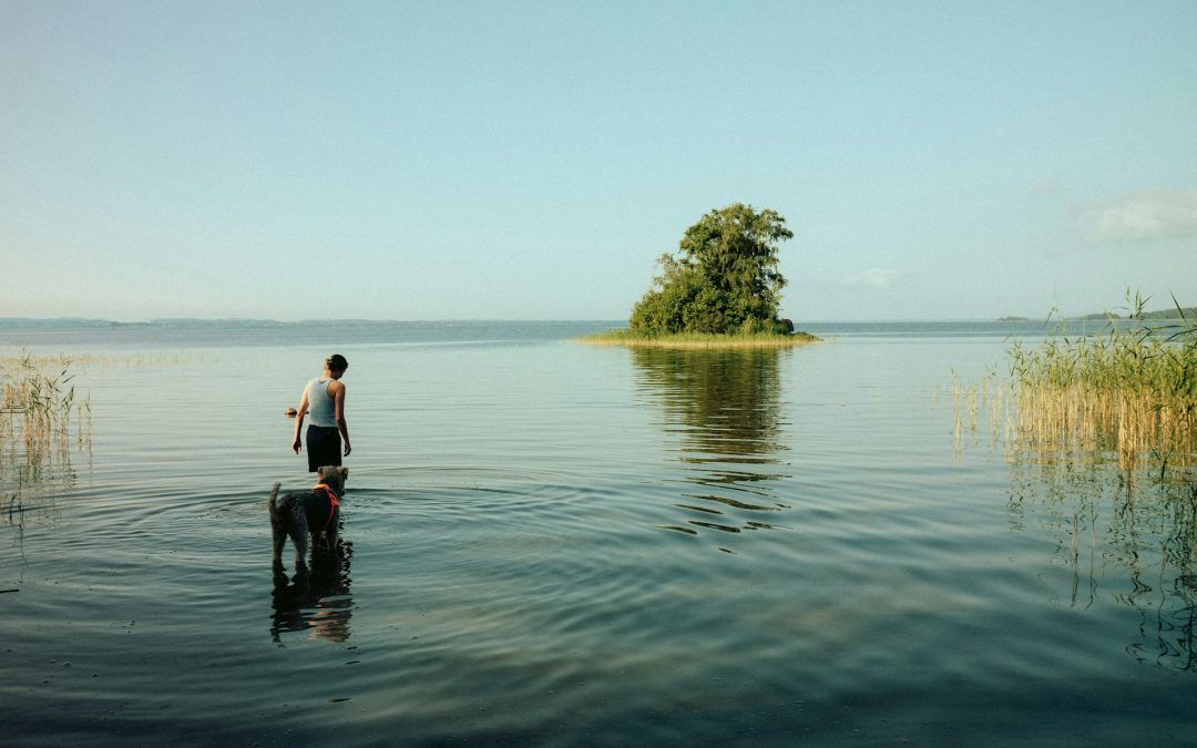 Sveriges 20 största sjöar
